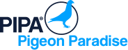 PIPA - Pigeon Paradise